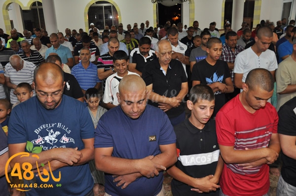 tarawee7 3ajamiwj (14).JPG